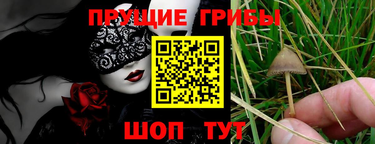 Галлюциногенные грибы мухоморы Каменка